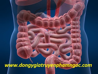 Viêm đại tràng co thắt thường không có tổn thương thực thể