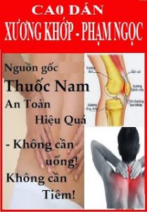 cao dán xương khớp Phạm Ngọc - trừ phong thấp