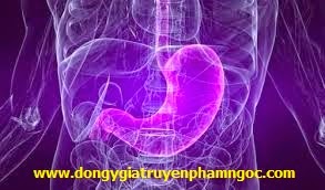Đông Y chữa viêm dạ dày tá tràng như thế nào