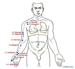 Đường đi và hội chứng của 12 đường kinh chính