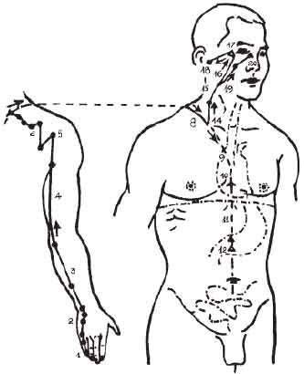 kinh thủ thái dương tiểu trường