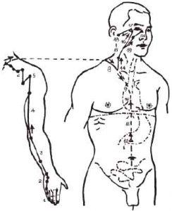 KINH THỦ THÁI DƯƠNG TIỂU TRƯỜNG