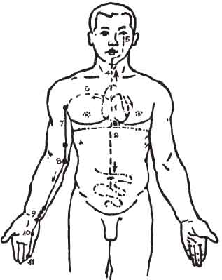 kinh thủ thiếu âm tâm