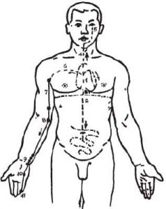 kinh thủ thiếu âm tâm