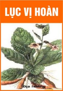 lục vị hoàn