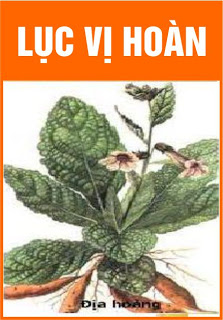 lục vị hoàn