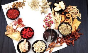 những bài thuốc nam giúp bổ thận tráng dương hiệu quả