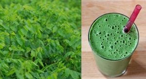 nước rau ngót sống rất tốt cho quý ông yếu tinh trùng