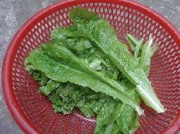 Xuất tinh sớm – Yếu Sinh Lý Có Trị Được Bằng Rau Diếp Hay Không