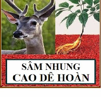 Sâm nhung cao dê hoàn