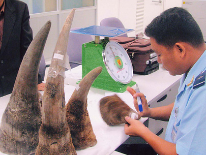 sừng tê giác có chữa được liệt dương, xuất tinh sớm hay không