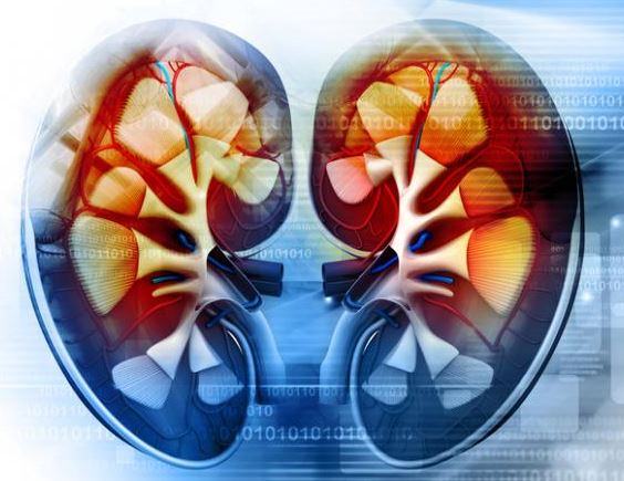 những dấu hiệu suy thận không thể bỏ qua