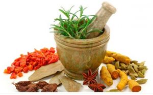 trị bệnh xuất tinh sớm hiệu quả bằng thuốc Đông Y