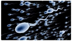 làm gì để tăng chất lượng tinh trùng