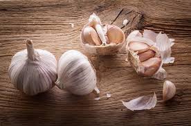 Tỏi không chỉ là gia vị cần thiết trong nhiều món ăn mà còn là vị thuốc chữa bệnh