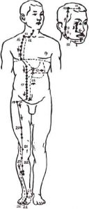 Tức Dương Minh Vị Kinh