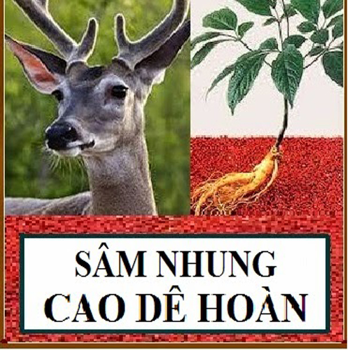 sam-nhung-de-hoan-bo-than