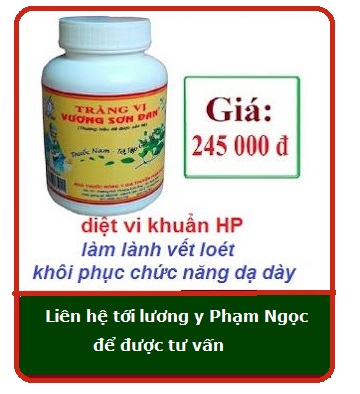 Trà Phạm Ngọc – Sơn Kim Cúc Đinh Lăng
