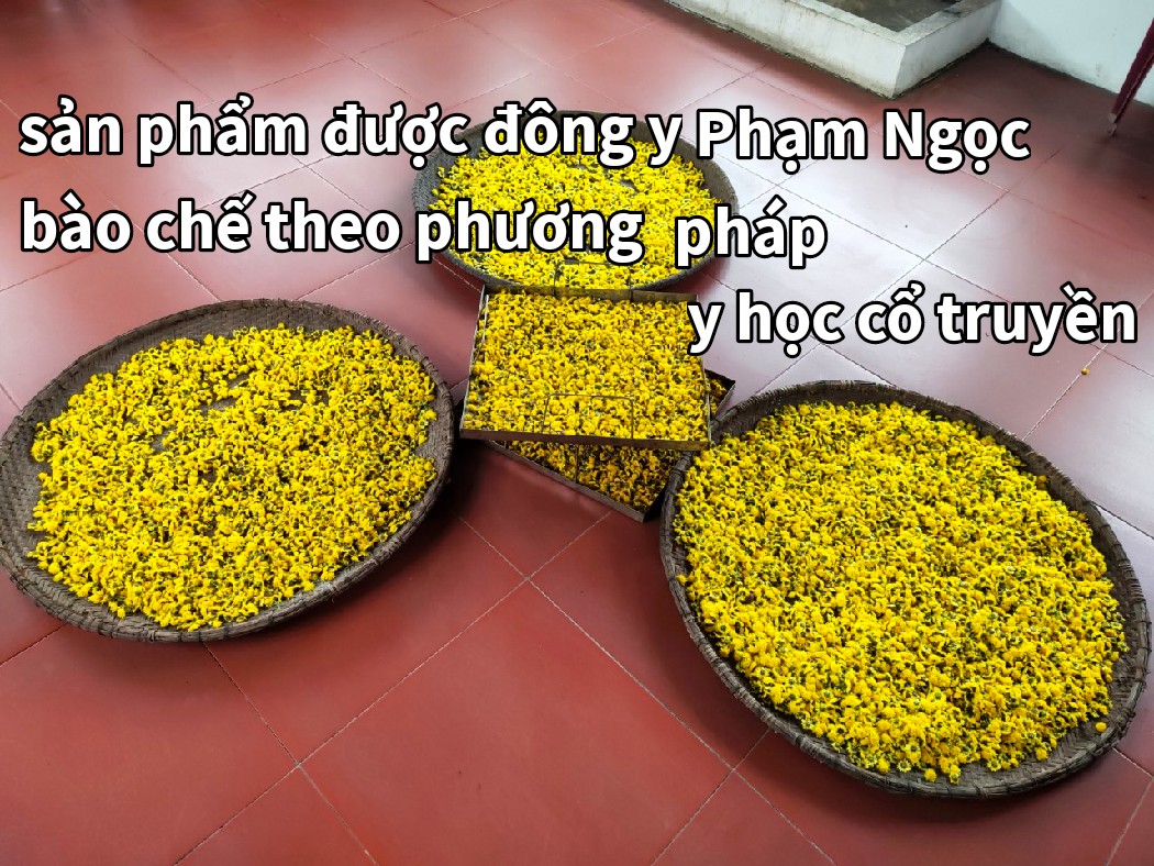 sơn kim cúc chống oxy hóa, bảo vệ thần kinh và chống viêm,