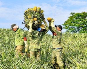 Nguyên nhân gây đau lưng ở người Việt: lao động nặng, ít vận động, sai tư thế.